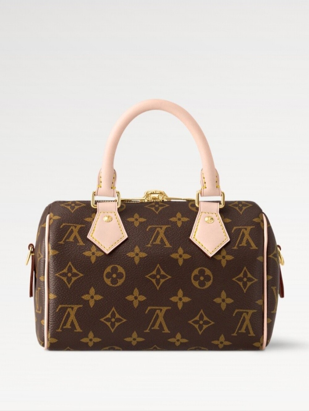 Louis Vuitton Speedy 20